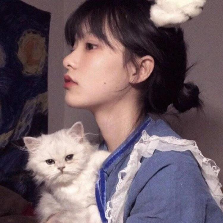 东京（明治维新后故事主要发生地） - 手机端流畅在线观看 - 网页追剧
